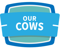 Cloverland Farms Dairy