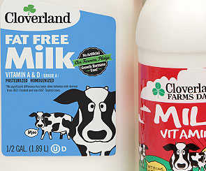 Cloverland Chocolate Milk